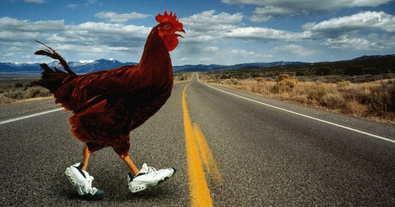Descubre el Juego de Azar más Fácil en la Calle del Pollo en España - overview